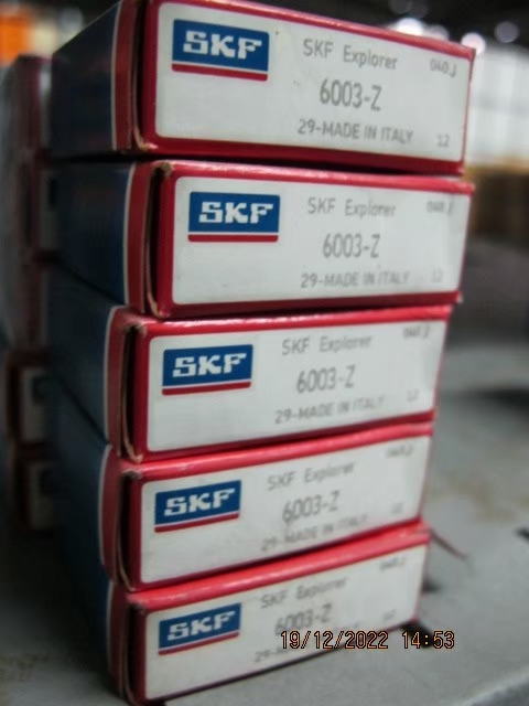 SKF Photo 64